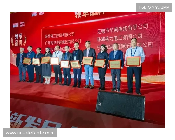 亚洲K8娱乐最大平台的技术优势与创新发展推动行业持续繁荣与升级